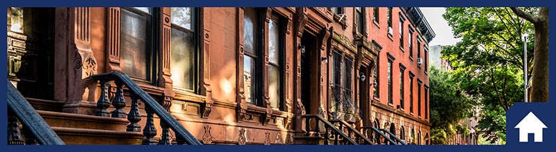 Visit VetConnectNYC.org 