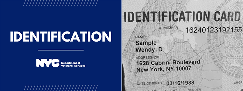 CLose up view of a driver's license
