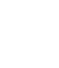 Badge for the New York Police Department