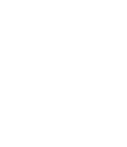Badge for the New York Sheriff's Department