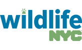 WildlifeNYC