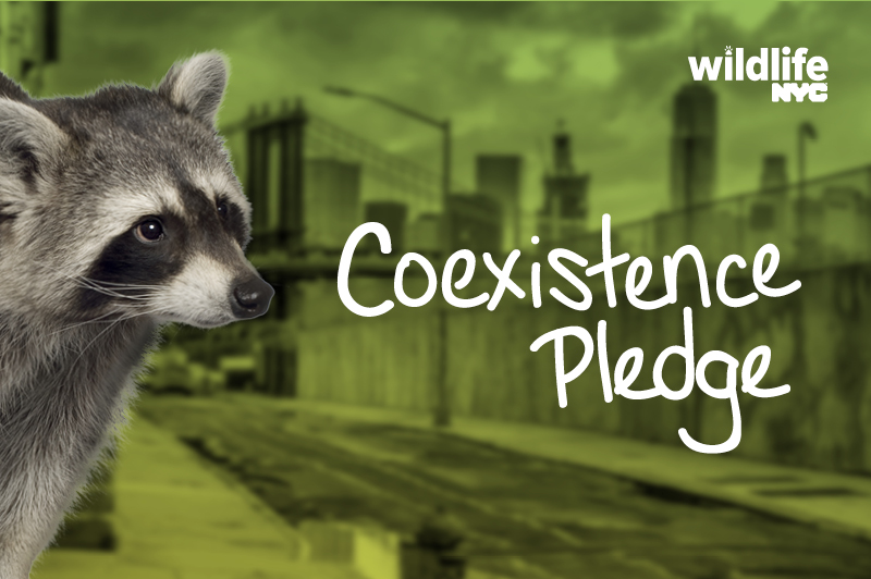 Coexistence Pledge