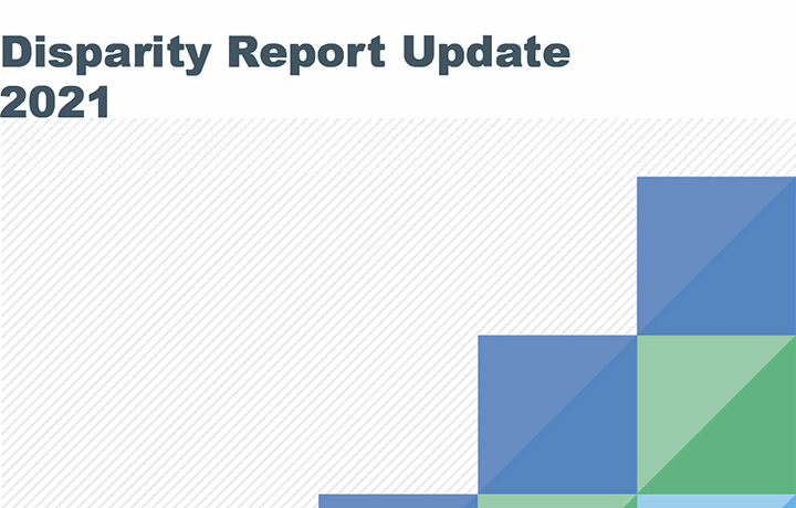 2021 Disparity Report
                                           