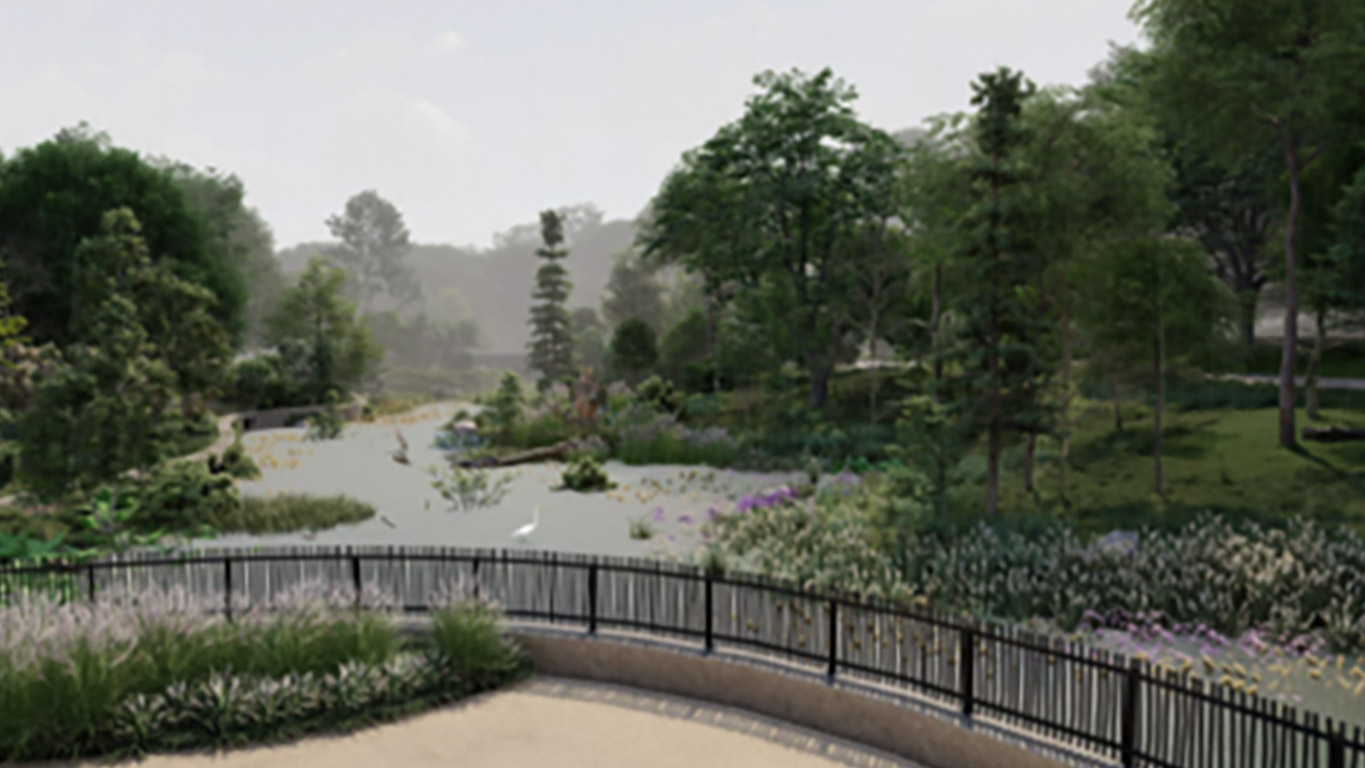 a landscape with trees, grasses and a lake