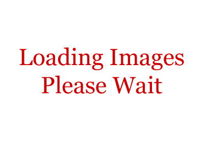 Loading images, please wait