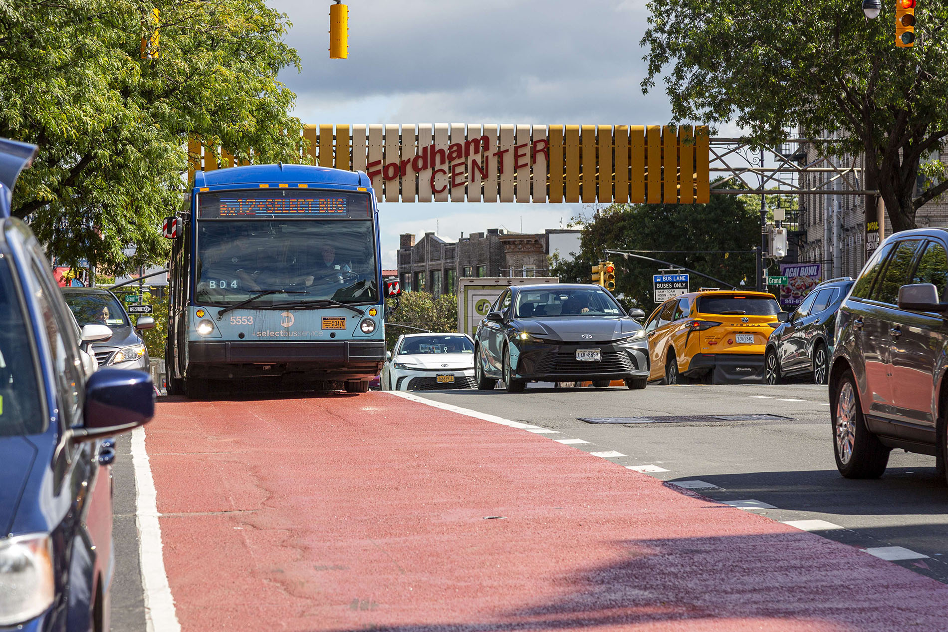 A blue M.T.A. bus travels along a red bus lane in the Bronx.