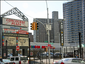 Ford auto parts in bronx ny #5