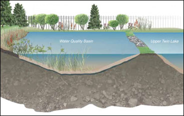Bluebelt Wetland