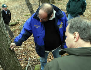 Commissioner Christopher Ward inspects a Sugar Maple tap on City-owned watershed land in Roxbury in Delaware County. By next season there will be five sites where local residents tap Sugar Maple trees on DEP land as part of the Land Management Program, which encourages sustainable agriculture in the watershed. Deputy Commissioner Michael Principe is in the foreground.