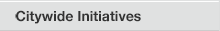 Citywide Initiatives