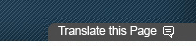 Translate the page