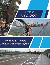 2017 Report Cover