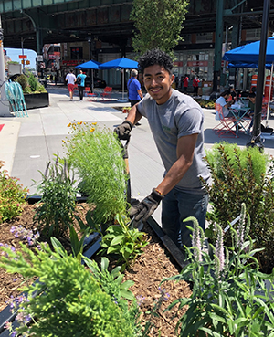 On a sunny day, a staff member from The Hort’s Green Team attends to a raised garden bed in a public plaza.