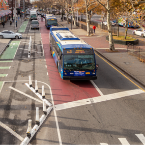 White quick kurbs delineate no parking areas between a green bike lane and a red bus lane.