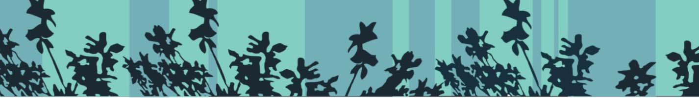 Barrier Beautification design by Abby Goldstein