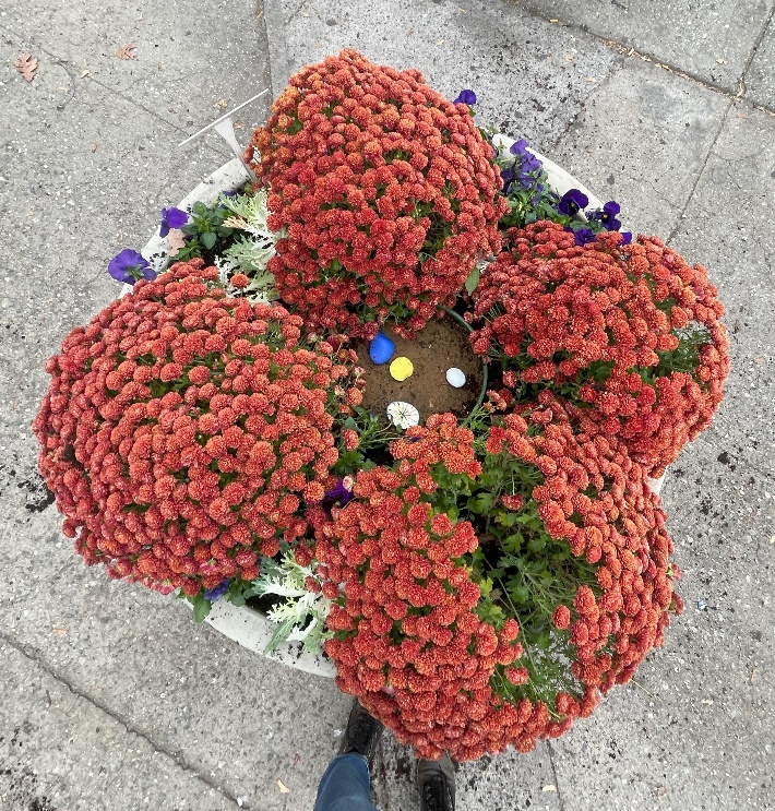 A bee bunker inside a concrete planter.