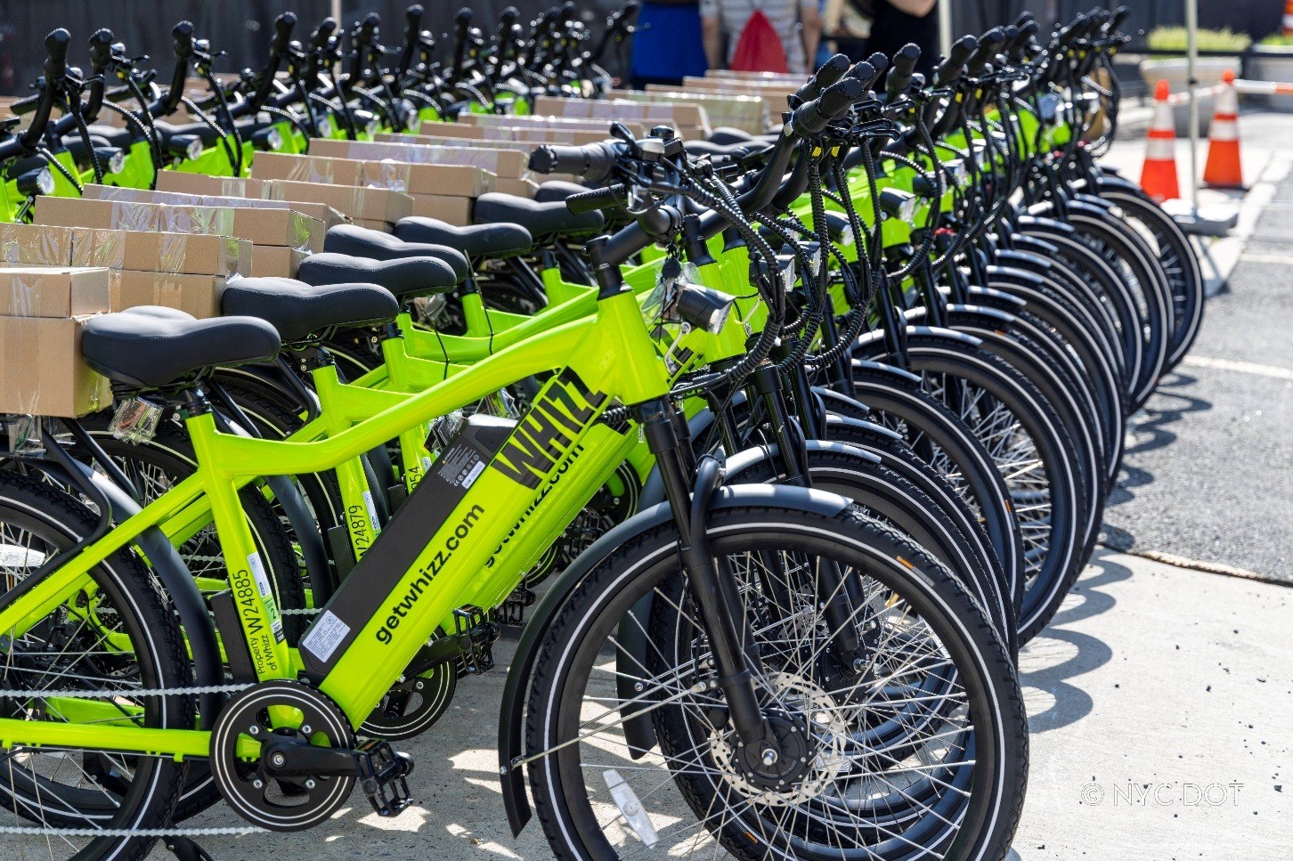 Image of multiple green e-bikes lined up.