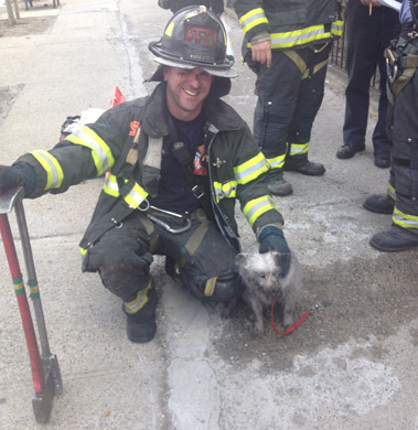 Firefighter John Sommeso and the rescued dog.