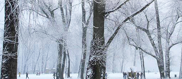 HHC Bellevue Hospital Offers Tips on Managing “Winter Blues”