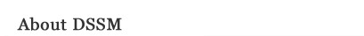 About DSSM