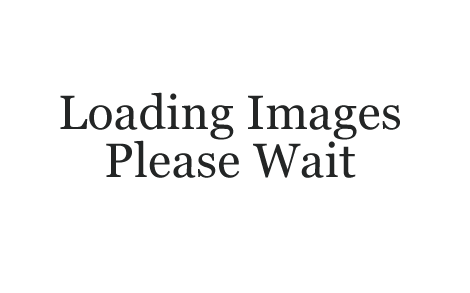 Loading images, please wait