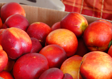 fresh fruit
