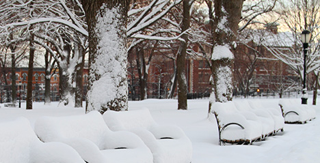 Winter Weather Safety Tips