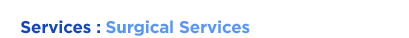 Surgical Services