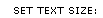 Set Text Size
