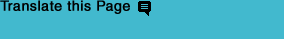 Translate this Page