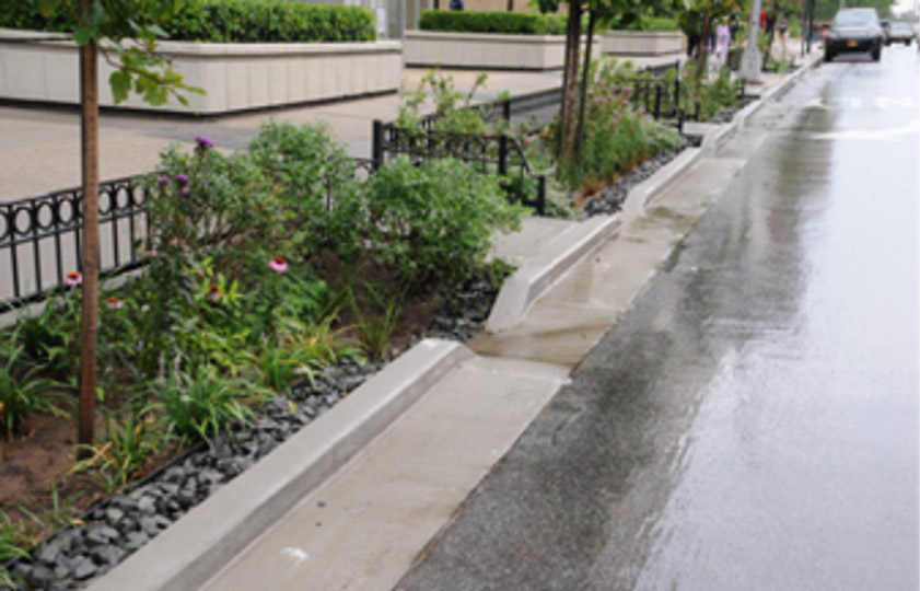 a road with curside rain garden, a car is approaching from top right corner.