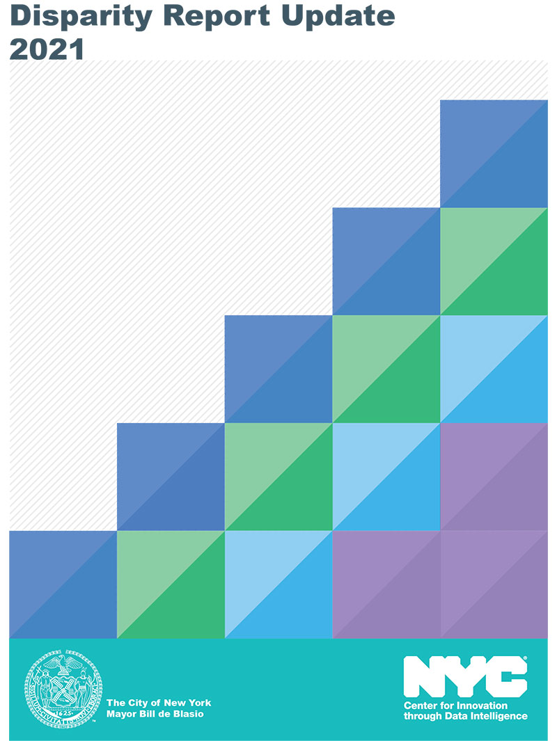 Cover of the 2021 Disparity Report