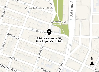 Map shows in red the location of 210 Joralemon Street in Brooklyn and a small area of the surrounding streets