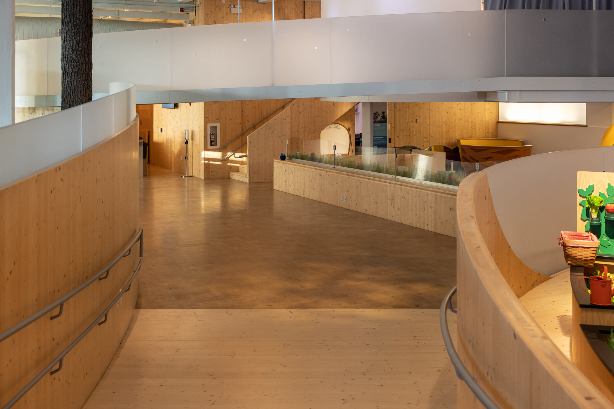 interior of new museum for children in the bronx