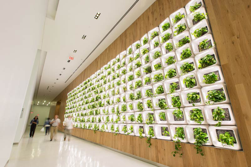 Green, leafy plants protrude from a white grid mounted on a wood-paneled wall.