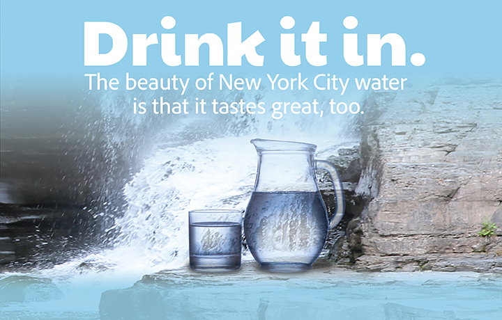 Drink it in. The beauty of NYC water is that it tastes great too. 
                                           