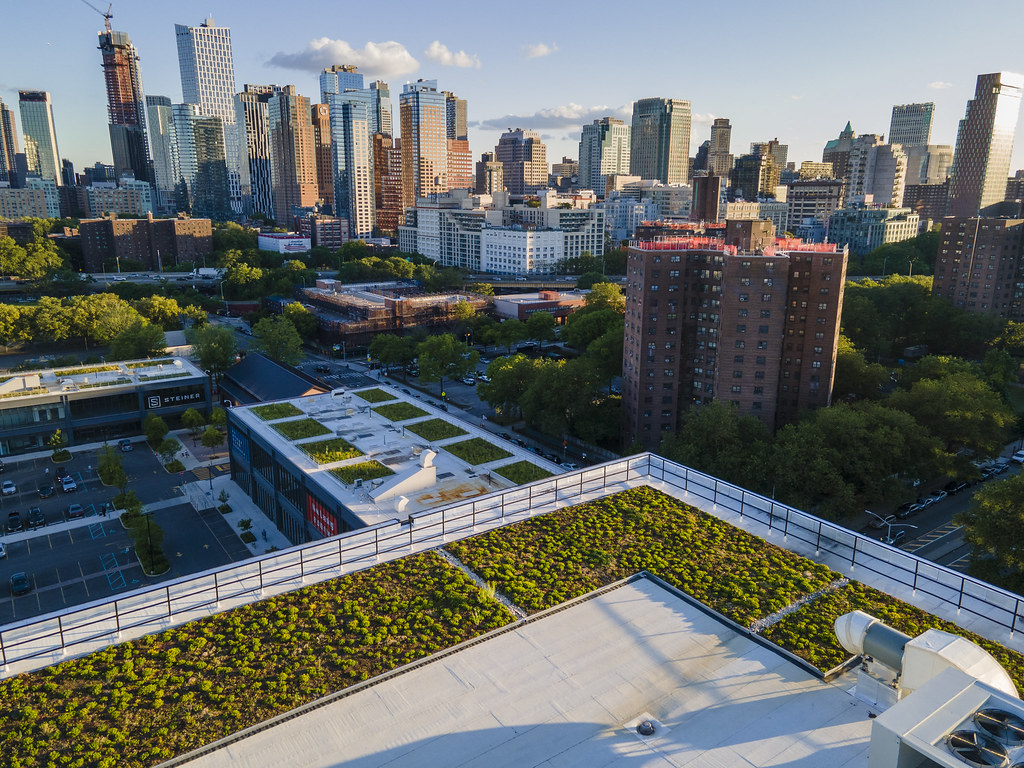 Green roof in NYC