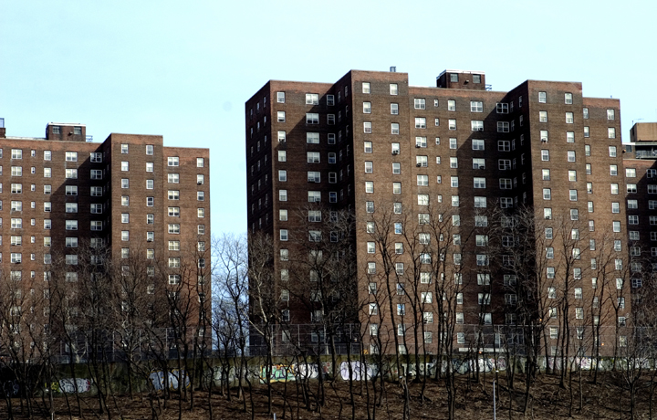 Group of brown NYC apartment buildings