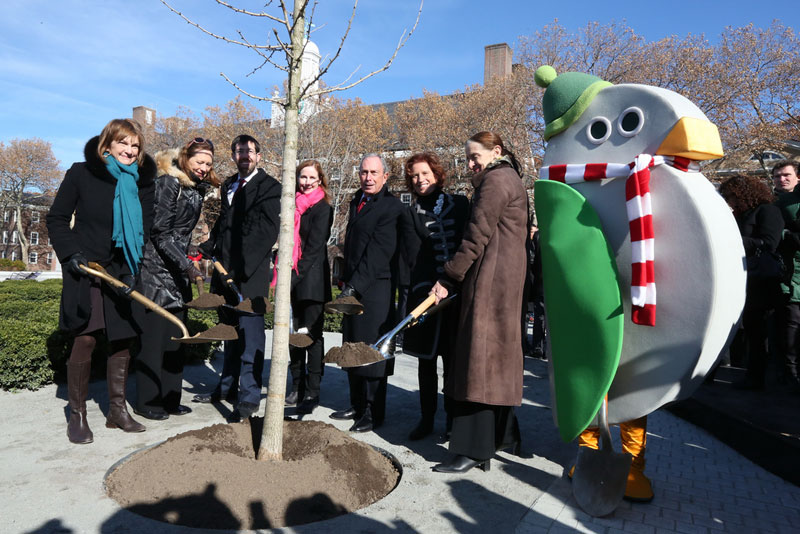 El alcalde Bloomberg planta el árbol no. 800,000 de MillionTreesNYC en Governors Island
