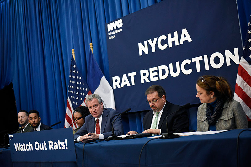 Mayor de Blasio Targets Rats for Extermination at 10 NYCHA Developments