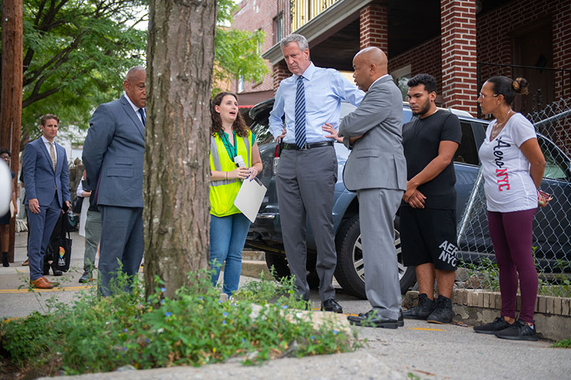 Mayor Announces City to Stop Issuing Violations on Homeowners for Damage Caused by Street Trees