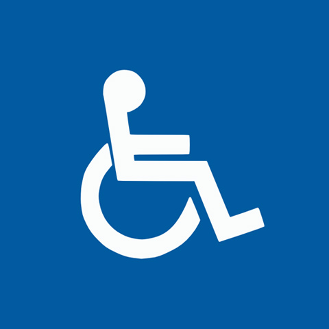 Logo for Disability Rights And Access