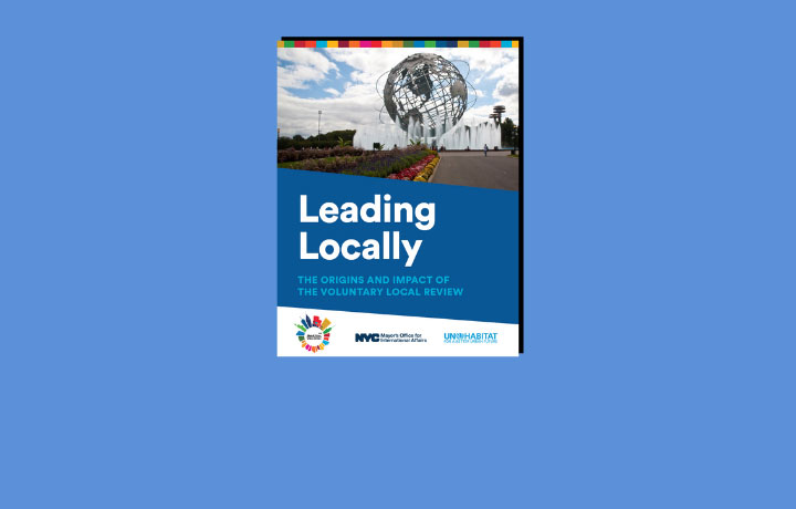 Cover of Leading Locally: The Origins and Impact of the VLR
                                           