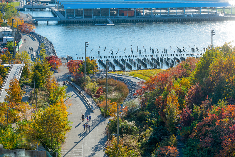 Brooklyn Bridge Park Brooklyn Bridge Park by Julienne Schaer