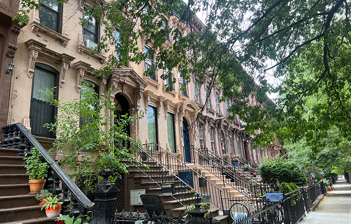 Tree-lined block with a row of brownstones