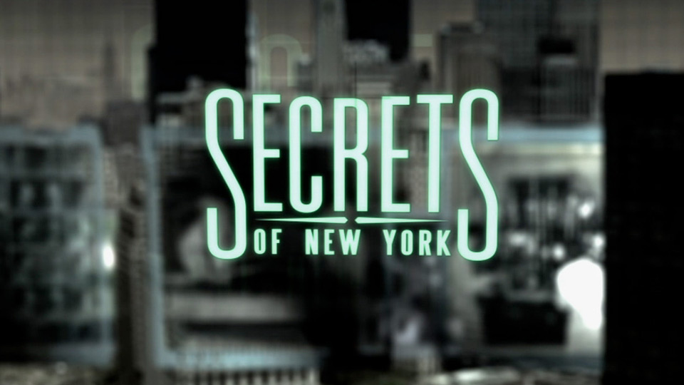 Secrets of New York logo image