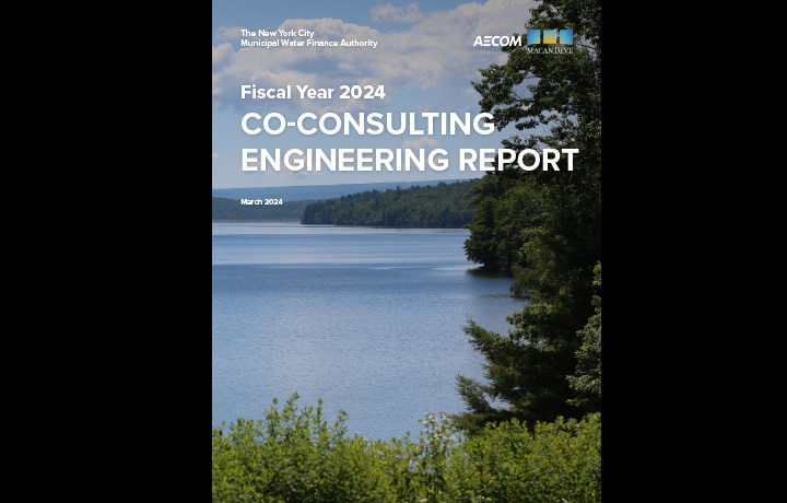 NYW FY2024 Consulting Engineer Report Cover
                                           