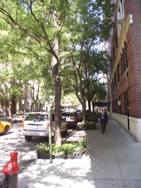 High density streetscape
in the West Village
