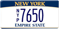Sample N Y P New York license plate
