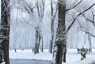 HHC Bellevue Hospital Offers Tips on Managing “Winter Blues”